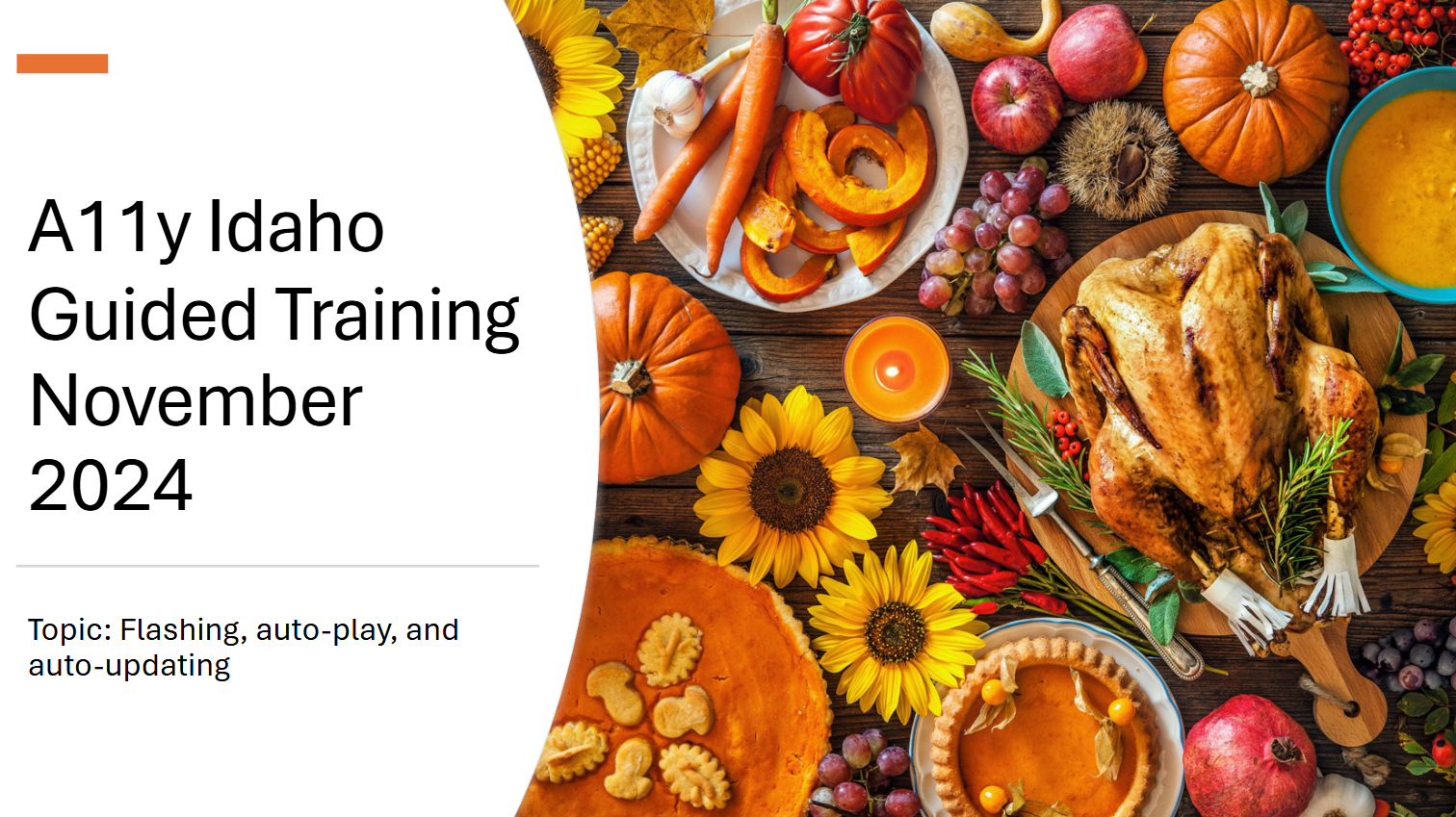 November 2024 guided training on Flashing, auto-play, and auto-updating